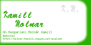 kamill molnar business card